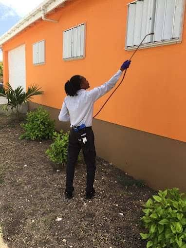 Terminix technician in uniform spraying pest control treatment on an orange building exterior